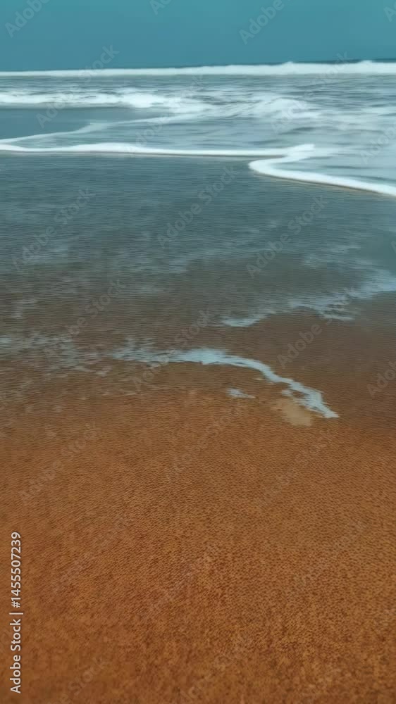 Poster seashells on wet sand with distant ocean waves rolling into the shore, shells filled with smaller sh