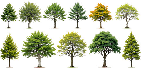 set of trees isolated on transparent png