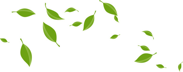 Flying Leaves Illustration