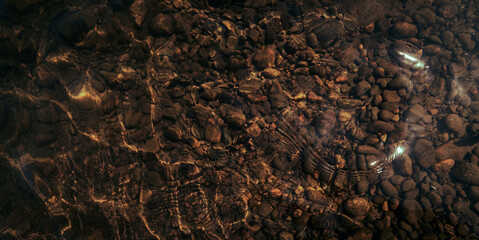 dark brown stone river floor