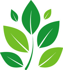 vector green leaf