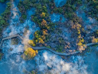 Aerial view of a wooden boardwalk winding through a geothermal area with steaming pools and lush vegetation in Rotorua, New Zealand. Tourists explore the unique landscape.