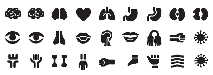 Collection of Human Body Organs and Parts  editable vector Icons