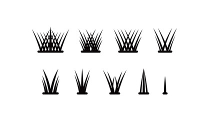Various shape(kinds) of lower eyelash extension