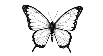 Obraz premium Elegant Butterfly Sketch Illustration