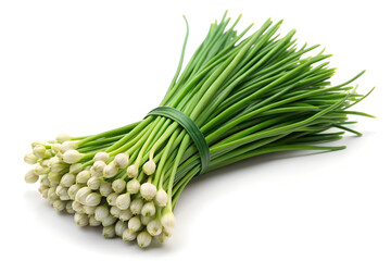 Fresh garlic chives with flower buds, healthy green vegetable, allium tuberosum, food ingredient, herb