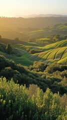 Fototapeta premium Rolling hills at sunrise