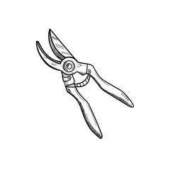 grass clipper vector line art, hand drawn illustration 