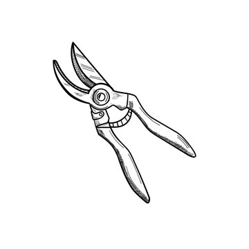 hand-drawn pruning shears on white clip art preview