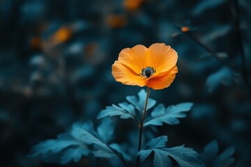 monochromatic yellow theme with striking orange flower in focus, minimal style
