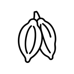 Cacao Pod Harvest Icon Design