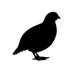 Vector silhouette of a bird on a transparent background