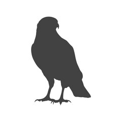 Eagle vector silhouette on transparent background