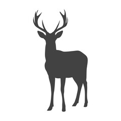 Deer vector silhouette on transparent background