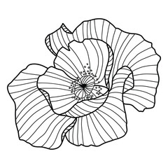 Obraz premium Botanical black Clipart Wildflower