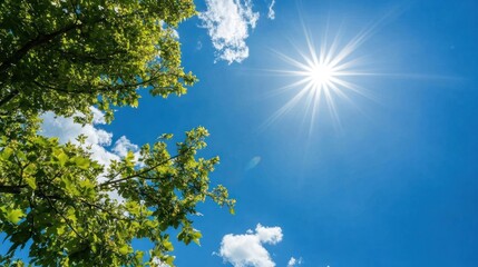 Obraz premium Sunlight through green tree leaves and blue sky