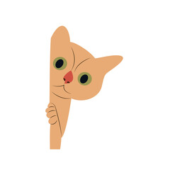 Cute Orange Cat Peeking Corner Illustration