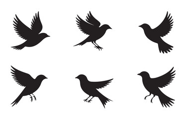 Fototapeta premium Set of black bird silhouettes as vector elements for decoration, nature, and design projects