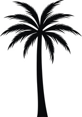  black and white silhouette of a palm tree