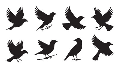 Obraz premium Set of black bird silhouettes as vector elements for decoration, nature, and design projects