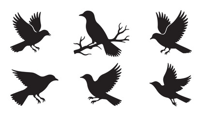 Obraz premium Set of black bird silhouettes as vector elements for decoration, nature, and design projects