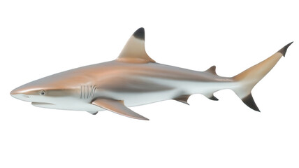 Obraz premium Close Up of Beluga Whale in High Detail Transparent Background