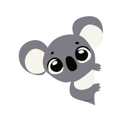 Cute Koala Peeking Cartoon Illustration