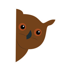 Brown Owl Peeking From Corner