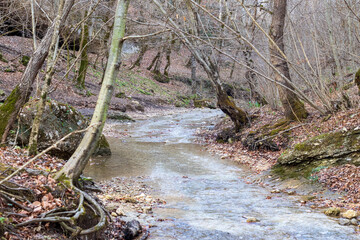 autumn, river, nature park , cloudy day, walk along the riverbed with an overview of the area