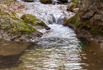 autumn, river, nature park , cloudy day, walk along the riverbed with an overview of the area