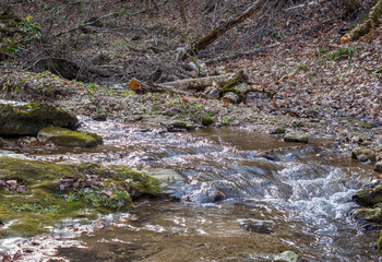 autumn, river, nature park , cloudy day, walk along the riverbed with an overview of the area