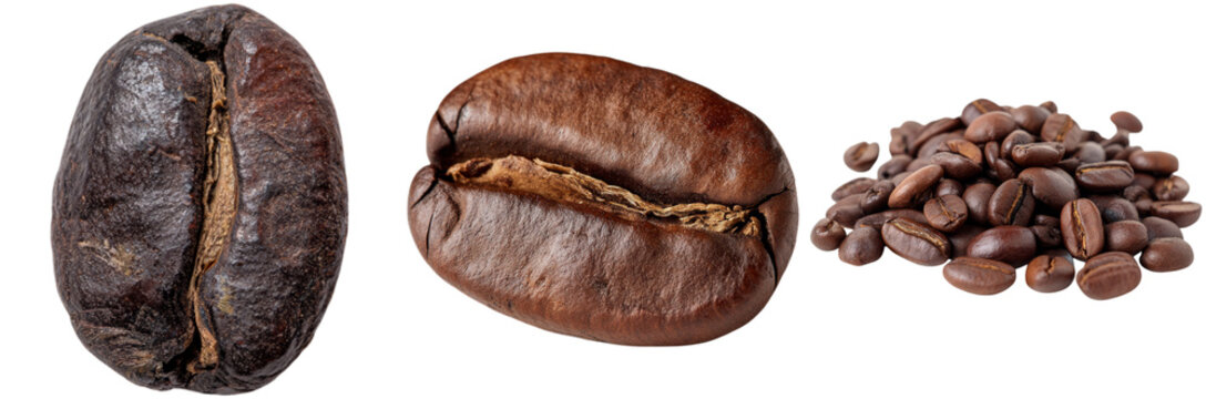 Collection of coffee beans showcasing various types, focusing on their distinct shapes and colors, perfect for illustrating coffee variety in design projects