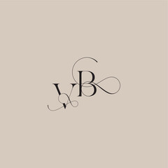 line and bold mix concept VB wedding serif monogram logo letter beautiful initial