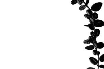 Dark botanical border