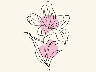 Elegant Line Art Flower Drawing with Pink Abstract Shapes
