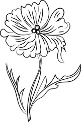 Elegant Black and White Line Art Drawing of a Single Flower