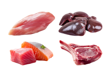 Set of fresh raw chicken breast,chicken liver, tuna salmon and lamb chop isolated on transparent background.