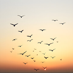 Fototapeta premium Majestic Flight into the Horizon: A Dance of Silhouettes Against the Expansive Sky