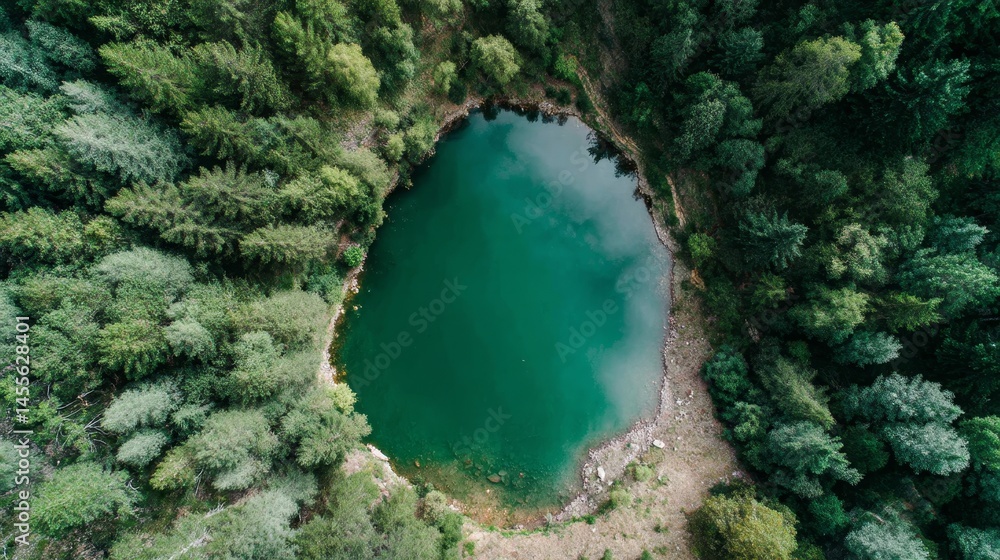 Poster perfectly round lake reflects the sky, encircled by lush trees and dense greenery, creating a tranqu