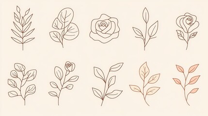 Floral Line Art Collection Featuring Various Leaves and Roses on a Light Background Highlighting Elegance and Simplicity in Design