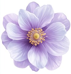 Obraz premium Detailed close-up of a delicate, light purple flower. Soft petals, prominent center