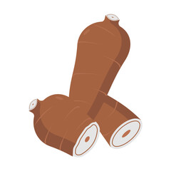 svg illustration of asian tropical fruits