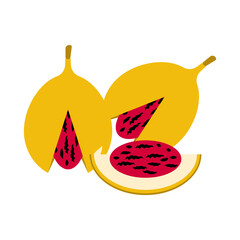 svg illustration of asian tropical fruits