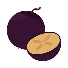 svg illustration of asian tropical fruits