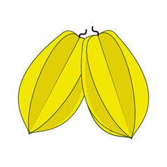 svg illustration of asian tropical fruits