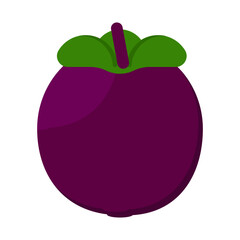 svg illustration of asian tropical fruits