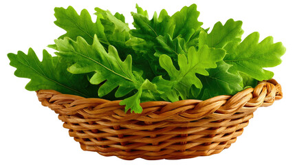 Naklejka premium Fresh Arugula in a Wicker Basket: A close-up shot captures a generous serving of vibrant, leafy arugula nestled in a rustic wicker basket, suggesting freshness.