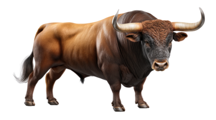 Majestic Bull's Pose: A strong bull, showcasing its powerful build and impressive horns, confidently stands ready, epitomizing raw power and determination.