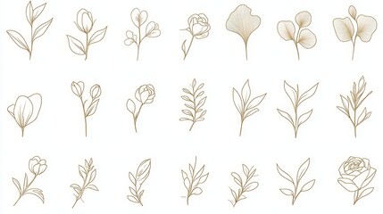 Fototapeta premium Botanical Illustrations of Various Flower Blossoms and Leaves on a Muted Background Showcasing Intricate Line Art Details