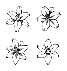 Obraz premium Set of black silhouettes of iris, narcissus, and lily flowers isolated on a white background 